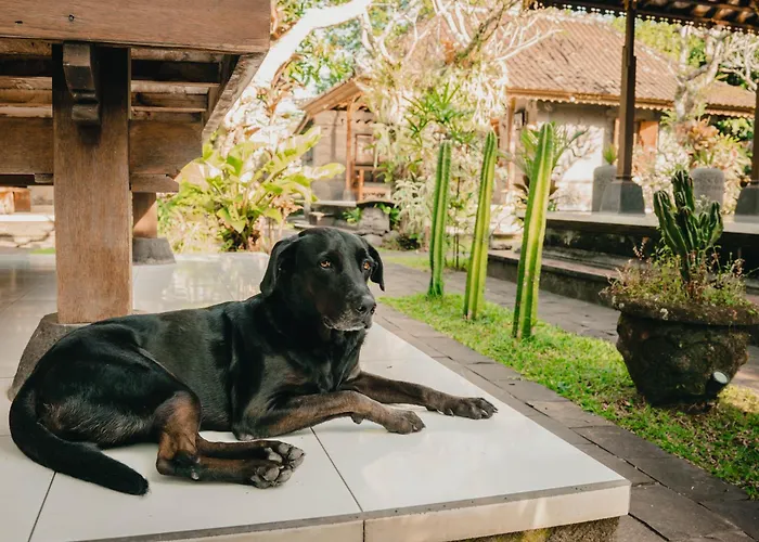 Maison d'hôtes Bramasa 4*